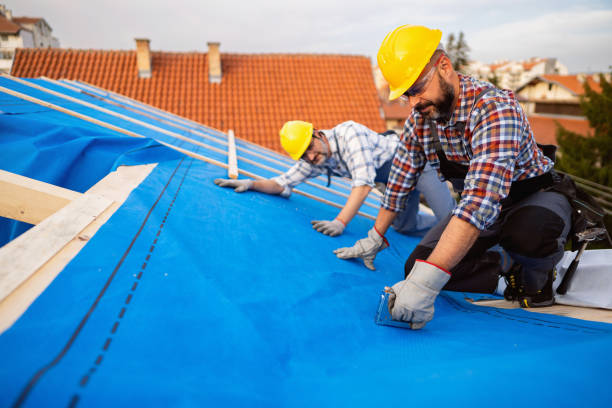 Best Gutter Installation and Roofing  in Mamou, LA