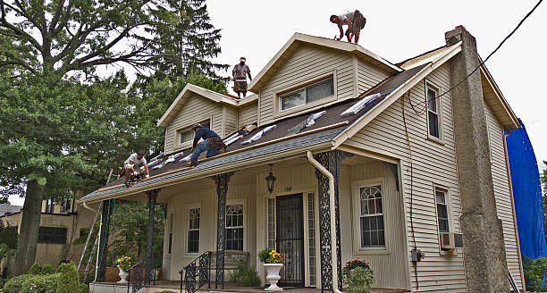 Best Metal Roofing Contractor  in Mamou, LA