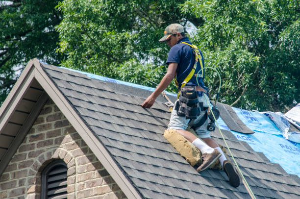 Best Residential Roofing Contractor  in Mamou, LA